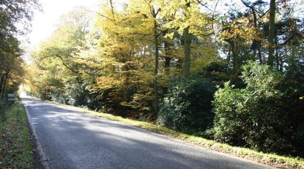 Autumn on Southern Lane