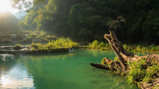 Reserva natural Semuc Champey
