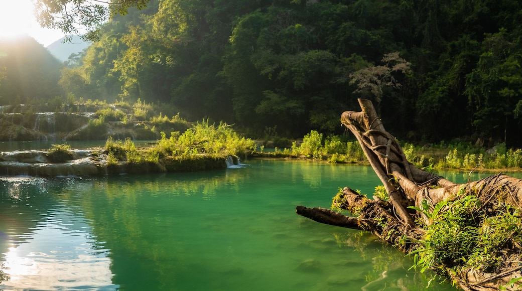 Reserva natural Semuc Champey