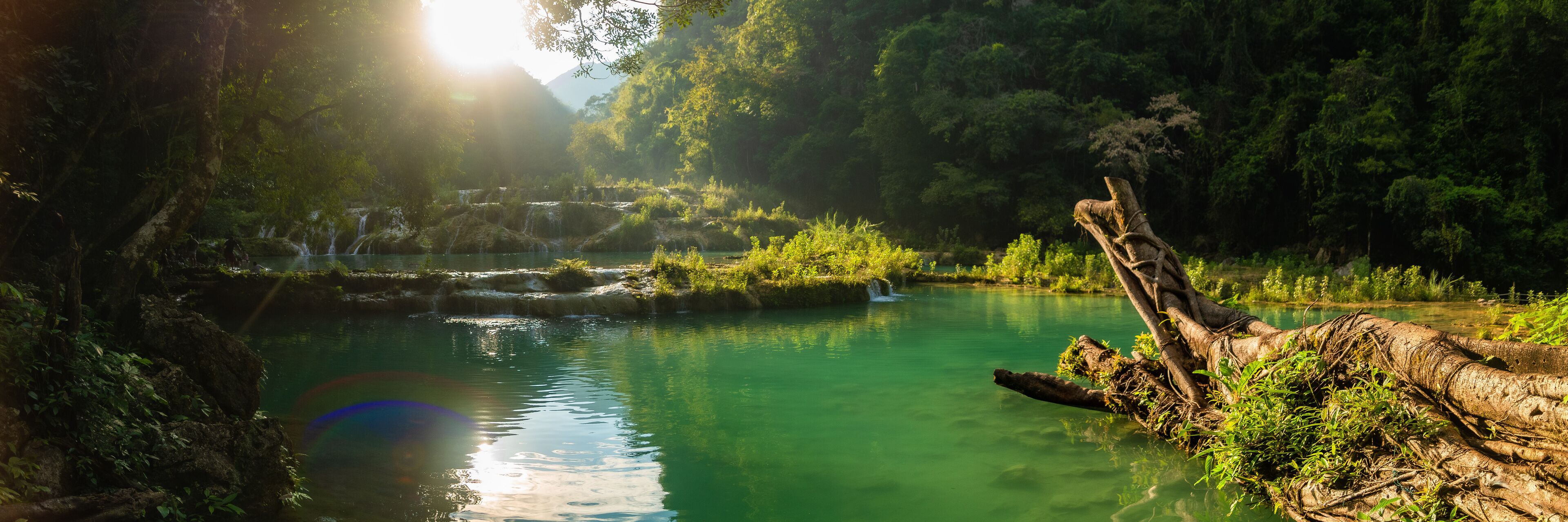 A serene river with clear water, surrounded by lush greenery and a fallen tree trunk.