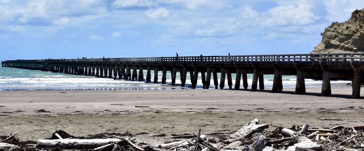 A beach with driftwood and a pier extending into the ocean.