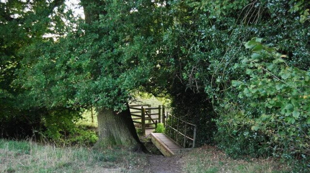 Footbridge on the path to Crockham Hill