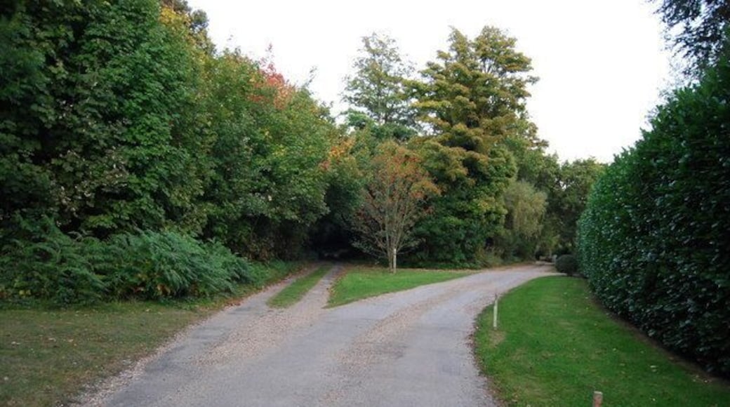 Greensand Way, Crockham Hill Common
