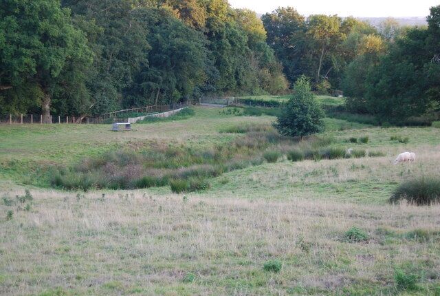 Boggy hollow by the path to Crockham Hill
