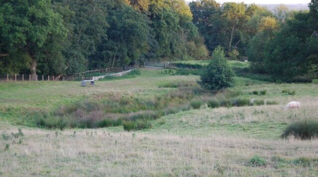 Boggy hollow by the path to Crockham Hill