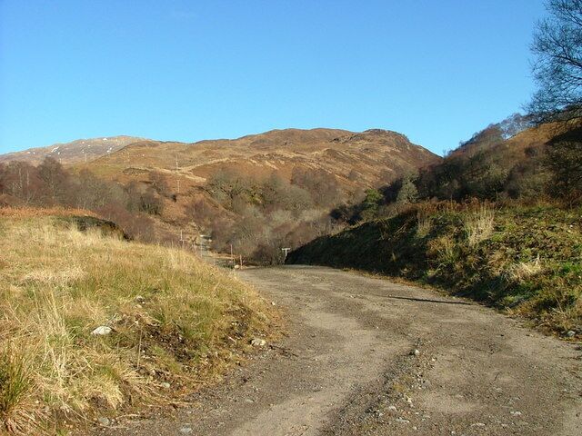 Track to Esregan Woodland A lot of woodland regeneration is taking place here including planting of native species.