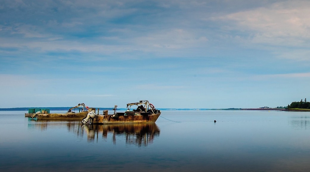 Oyster boats waiting to go to work. #GoldenHour #Waterlust