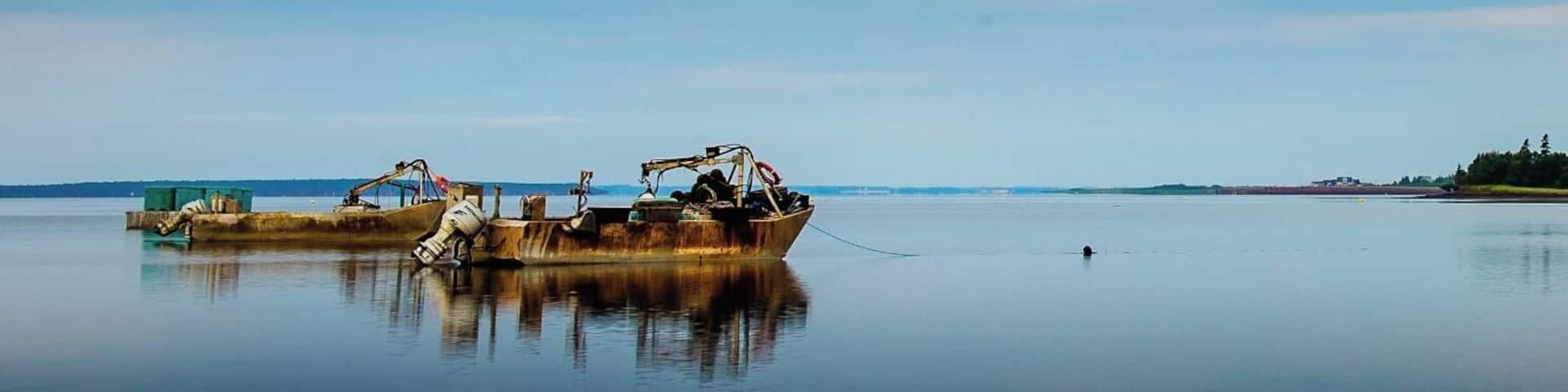 Oyster boats waiting to go to work. #GoldenHour #Waterlust