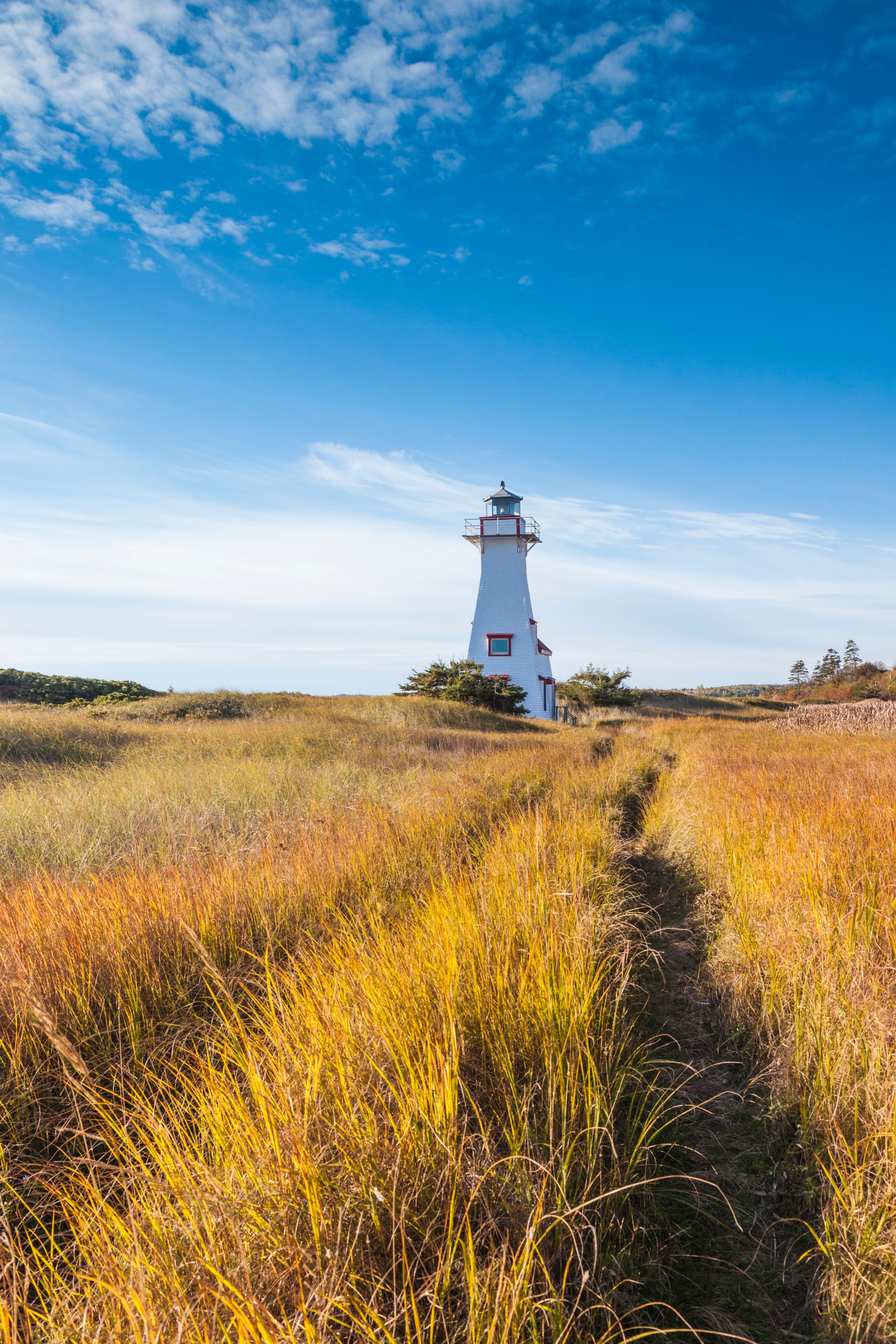 A white lighthouse with a red roof and a blue lantern room, surrounded by tall, golden grasses and a clear blue sky.
