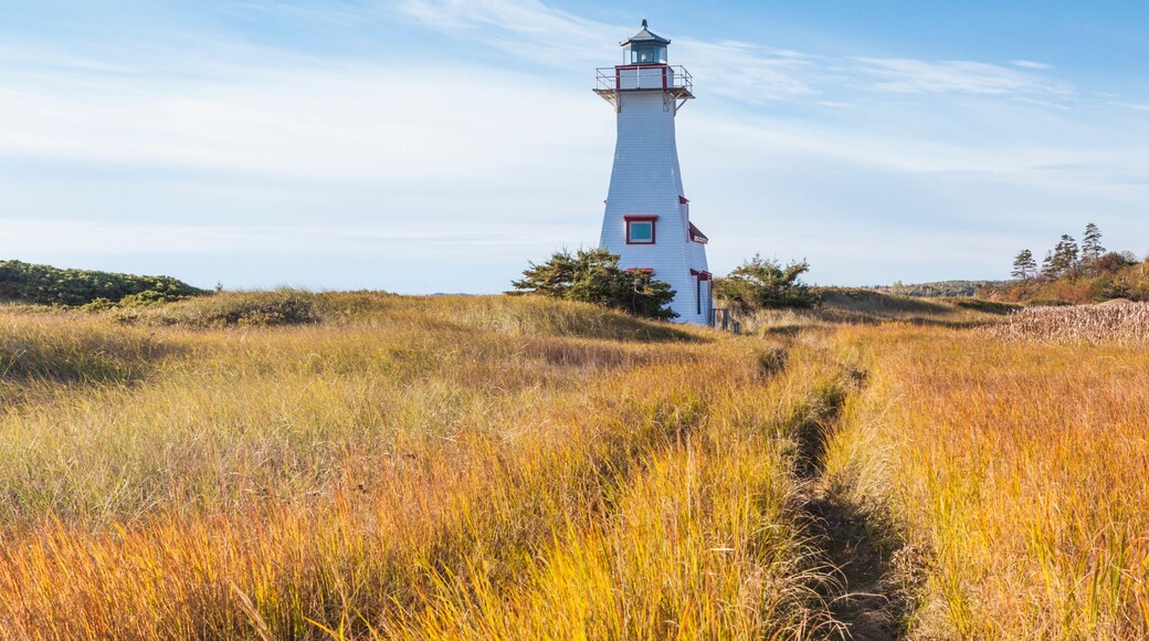 A white lighthouse with a red roof and a blue lantern room, surrounded by tall, golden grasses and a clear blue sky.