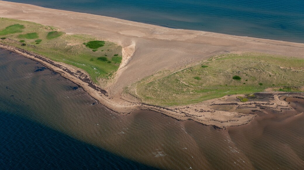 An aerial view of a coastal landscape with a sandy beach, green patches of vegetation, and a clear demarcation between the land and the water.