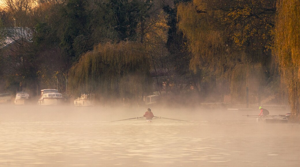 Early Morning Thames Rowing At Wallingford, Oxfordshire, England