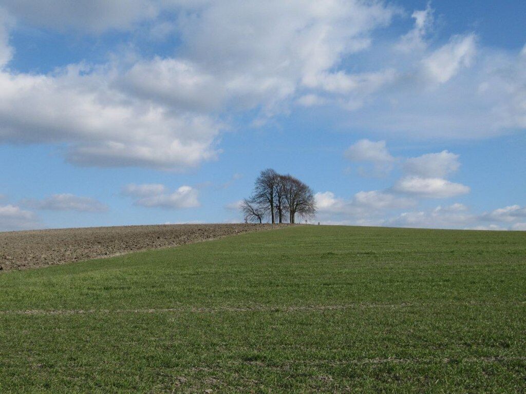 Looking up to Brightwell Barrow View up the hill of Brightwell Barrow from the footpath.
