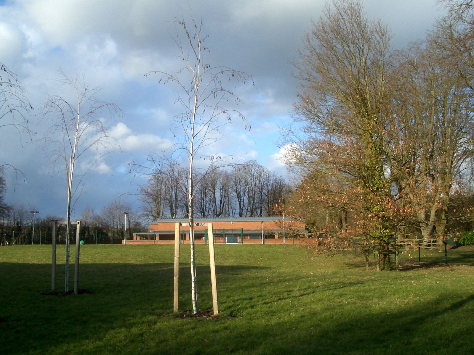 A grassy field with several young trees, a brick building, and a cloudy sky.
