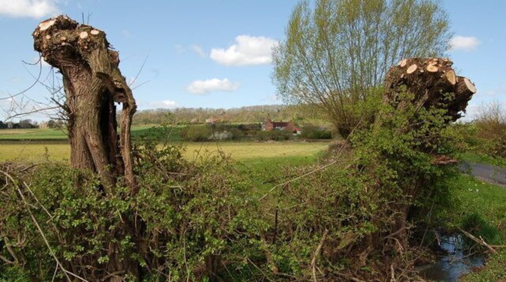 Hedge on the Ashleworth-Tirley road near Hasfield The Great House at Hasfield can be seen through the gap in the hedge. New Spring growth is appearing in the hedgerow and the Willows in the foreground have recently been pollarded.