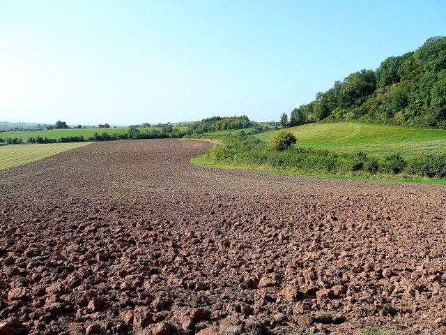 Un campo arado con colinas onduladas y un bosque al fondo.