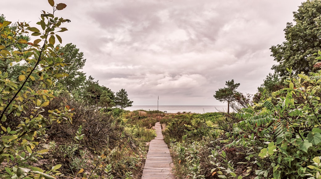 Bluewater Beach, Ontario, Canada - August 12, 2014: A wooden boardwalk path leads out of the forest down towards the beach on a cloudy summer day