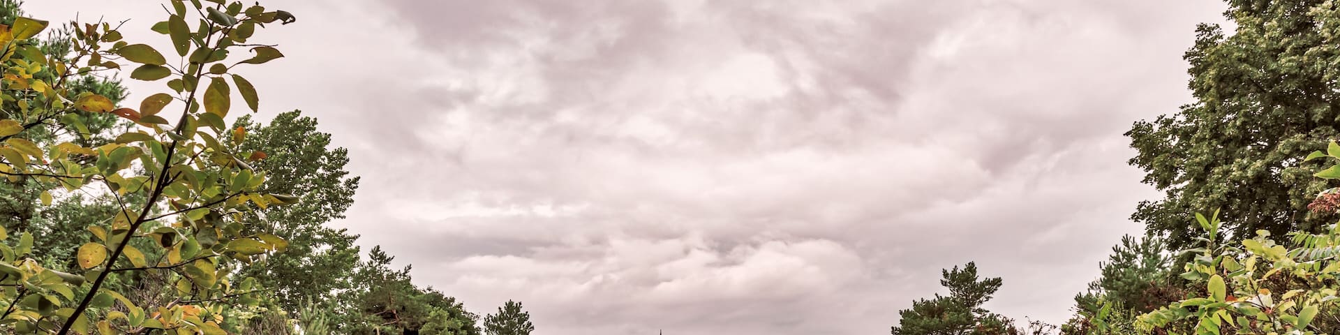Bluewater Beach, Ontario, Canada - August 12, 2014: A wooden boardwalk path leads out of the forest down towards the beach on a cloudy summer day