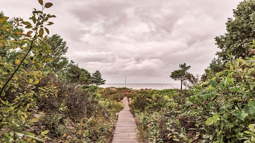 Bluewater Beach, Ontario, Canada - August 12, 2014: A wooden boardwalk path leads out of the forest down towards the beach on a cloudy summer day