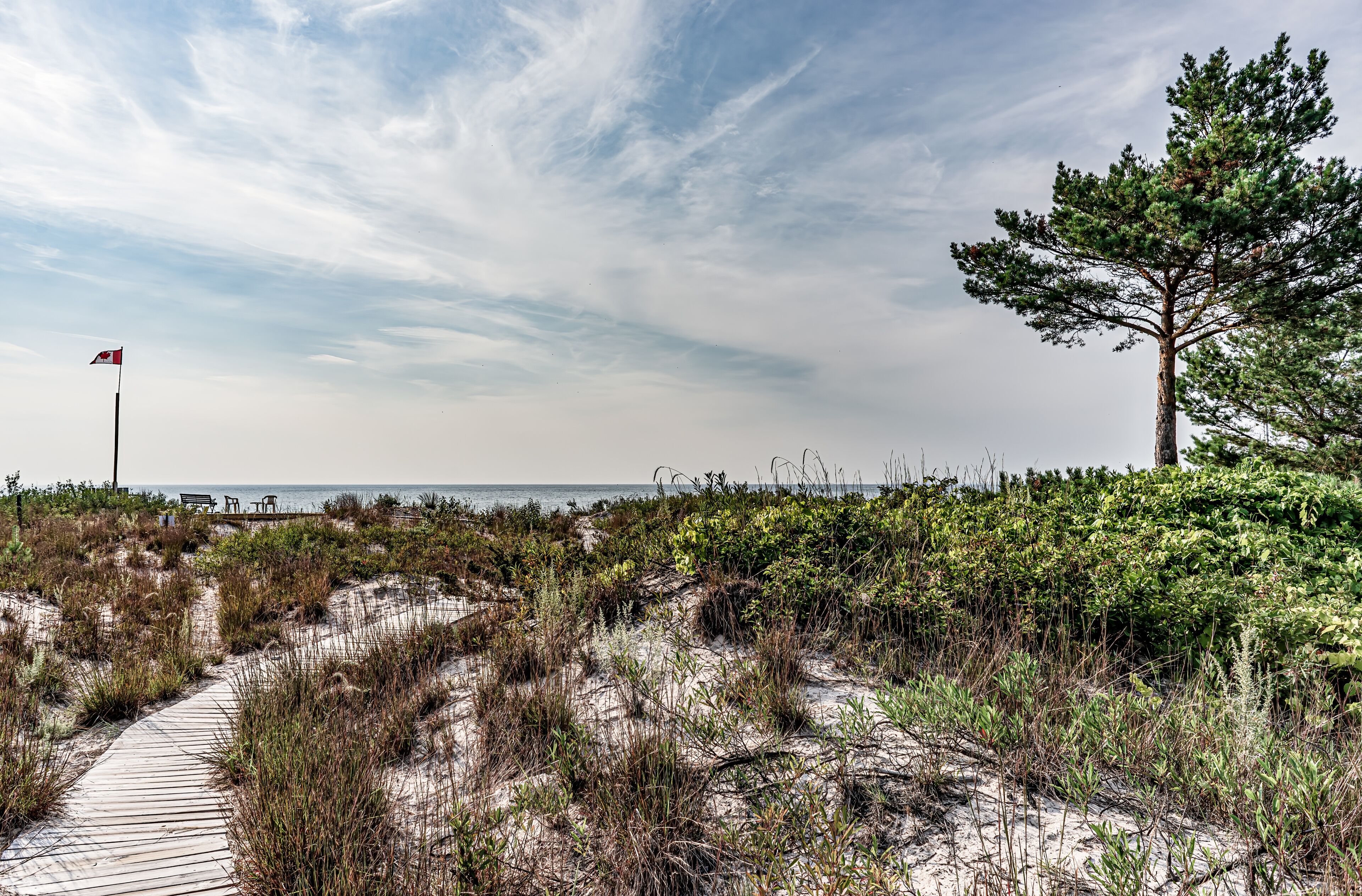 A wooden walkway leads through the dunes at Bluewater beach with flanked with a sitting area with flag and a large jackpine under a blue sky with wispy clouds