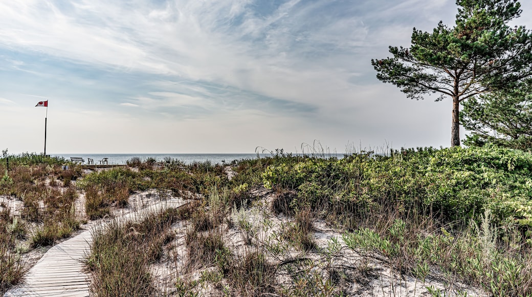 A wooden walkway leads through the dunes at Bluewater beach with flanked with a sitting area with flag and a large jackpine under a blue sky with wispy clouds