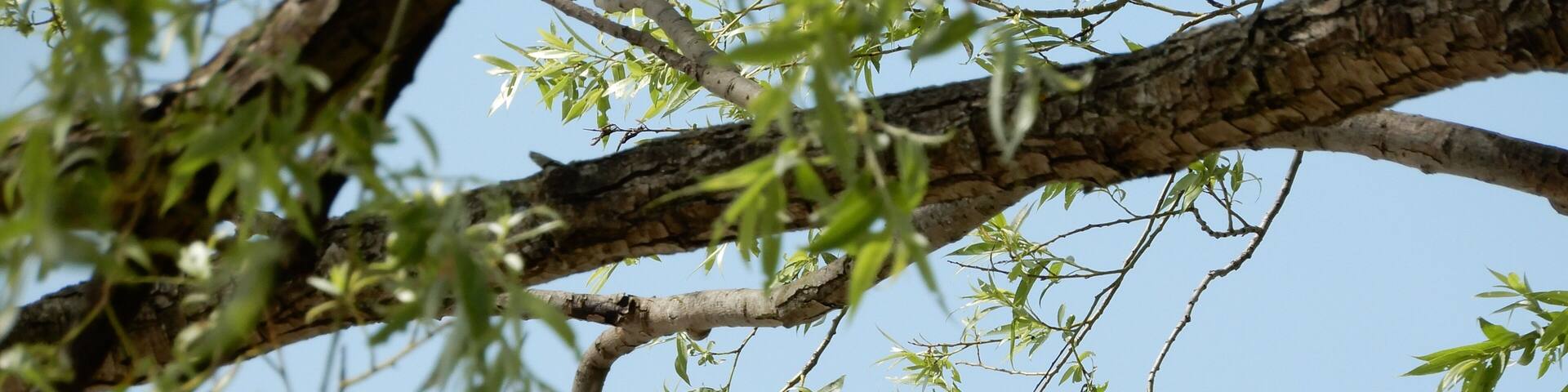 #LakeHuron #Bayfield #Ontario #Canada #travelspots