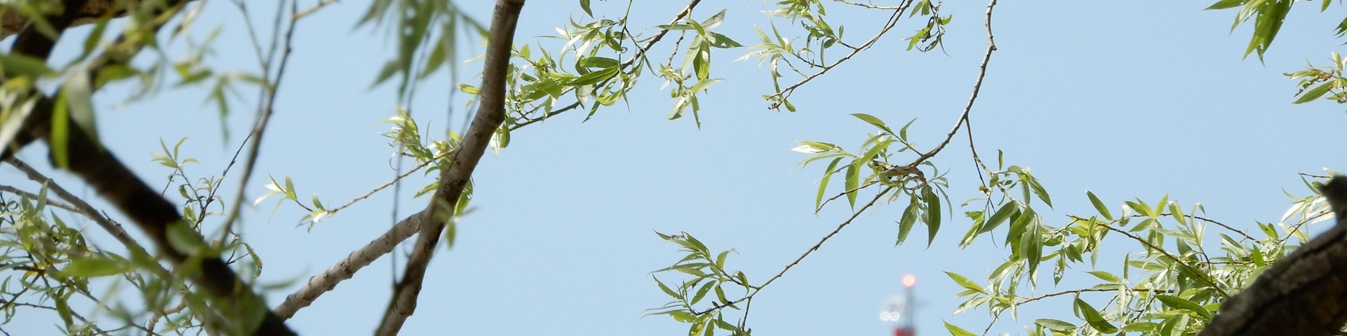 #LakeHuron #Bayfield #Ontario #Canada #travelspots