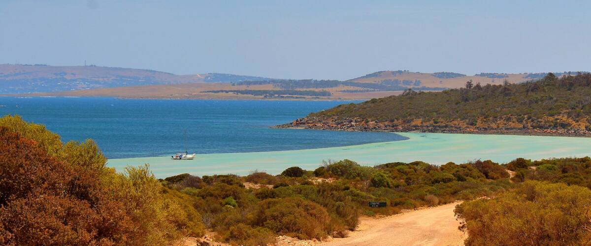 A coastal landscape with a clear turquoise sea, a dirt path, and dense green vegetation.