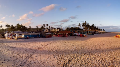 Imagem aérea da Praia da Barra do Itariri, município de Conde, Bahia, Brasil