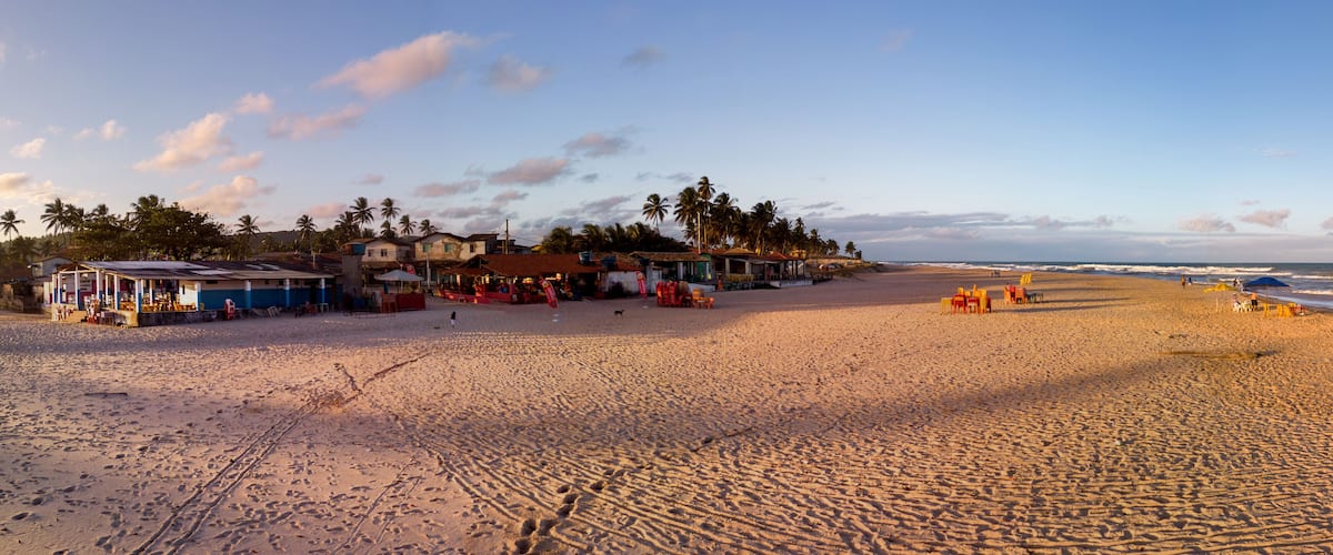 A beach with footprints, palm trees, and beach huts.