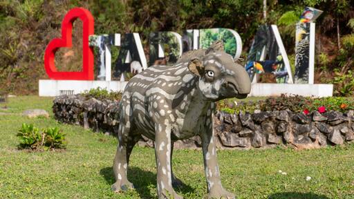 Letreiro turístico de Tapiraí São Paulo Brasil com esculturas de anta na natureza