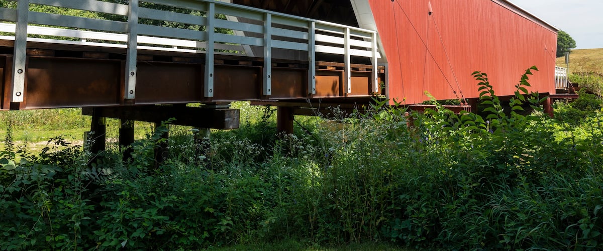 A covered bridge with a red roof and white walls, supported by wooden beams, crossing a grassy area with dense vegetation.