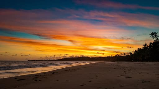 Jequiá da Praia