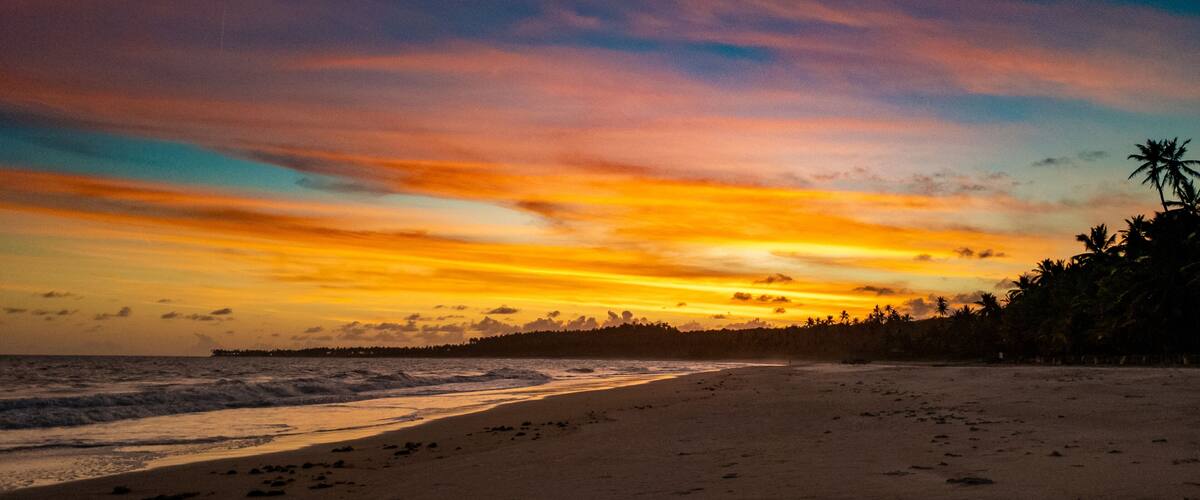 A beach with a sunset, palm trees, and ocean waves.