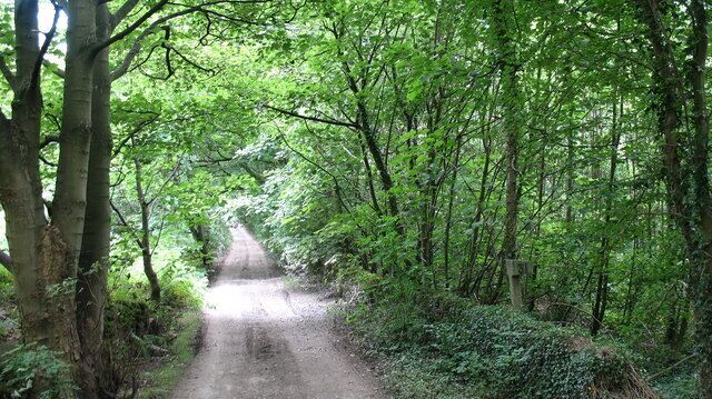 Ryburn Valley footpath. Footpath and lane in the Ryburn Valley near Ripponden. The path runs parallel to the disused railway track that once served Ripponden and Rishworth. An old railway milepost can be seen by the wall.