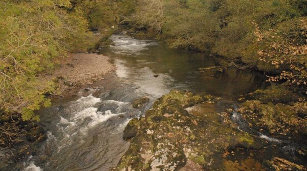 The upper River Tawe looking north from the roadbridge to Penwyllt