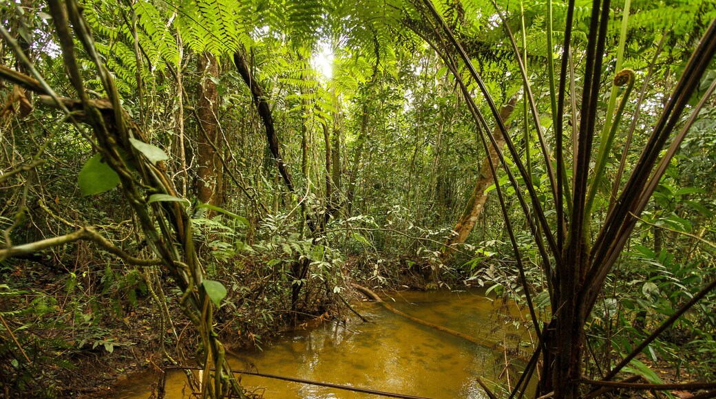 São João da Aliança