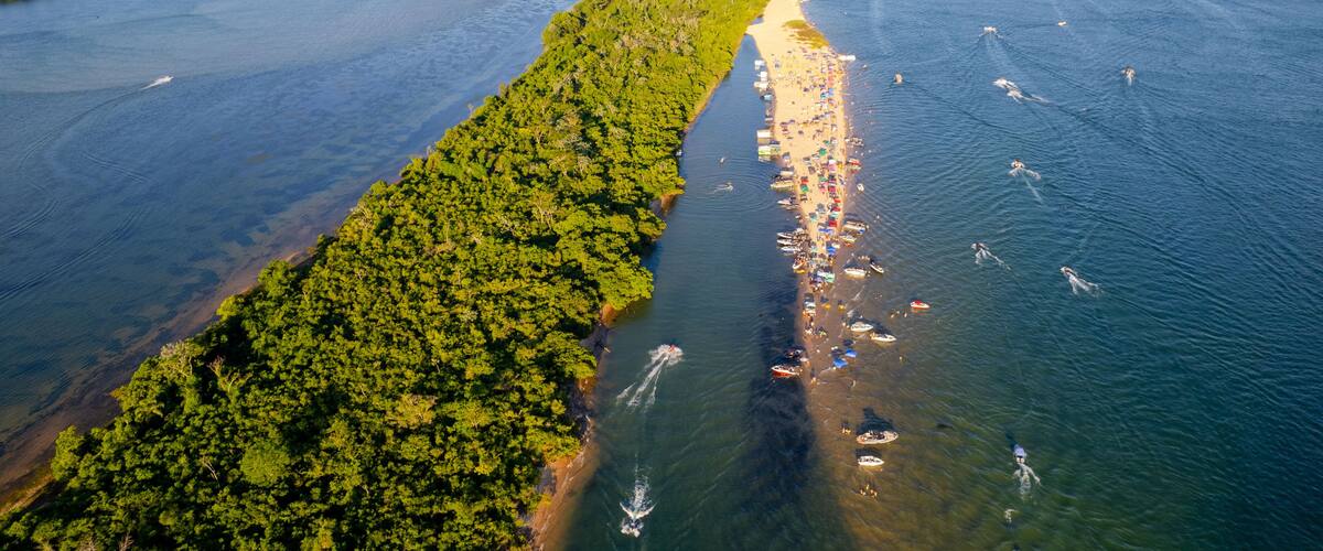 An aerial view of a coastal area with a dense forested peninsula, a sandy beach, and a marina with boats.