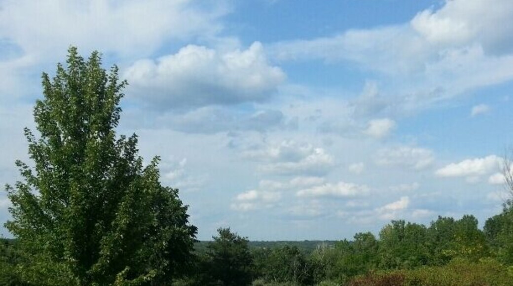 Trindle Park in Van Meter. Nice park, heavily wooded, two picnic shelters separated by a short drive, and a short gravel trail off of the second shelter.