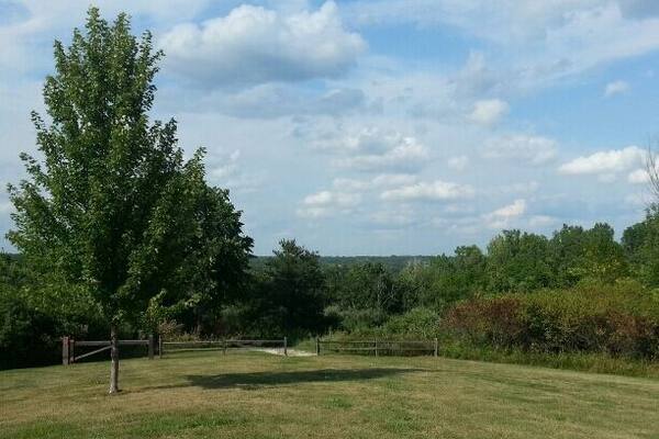 Trindle Park in Van Meter. Nice park, heavily wooded, two picnic shelters separated by a short drive, and a short gravel trail off of the second shelter.
