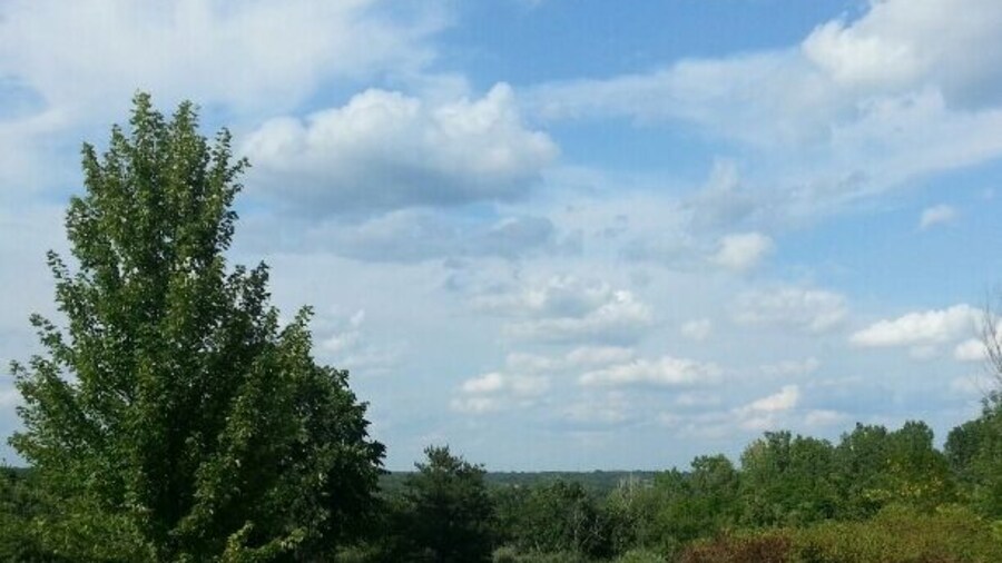 Trindle Park in Van Meter. Nice park, heavily wooded, two picnic shelters separated by a short drive, and a short gravel trail off of the second shelter.
