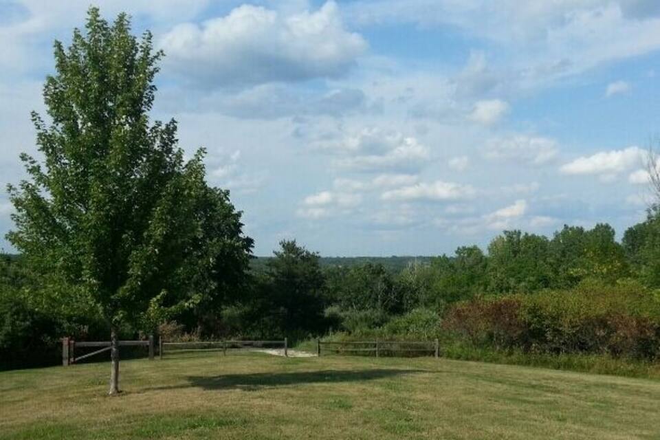 A grassy field with a large tree and a wooden fence.