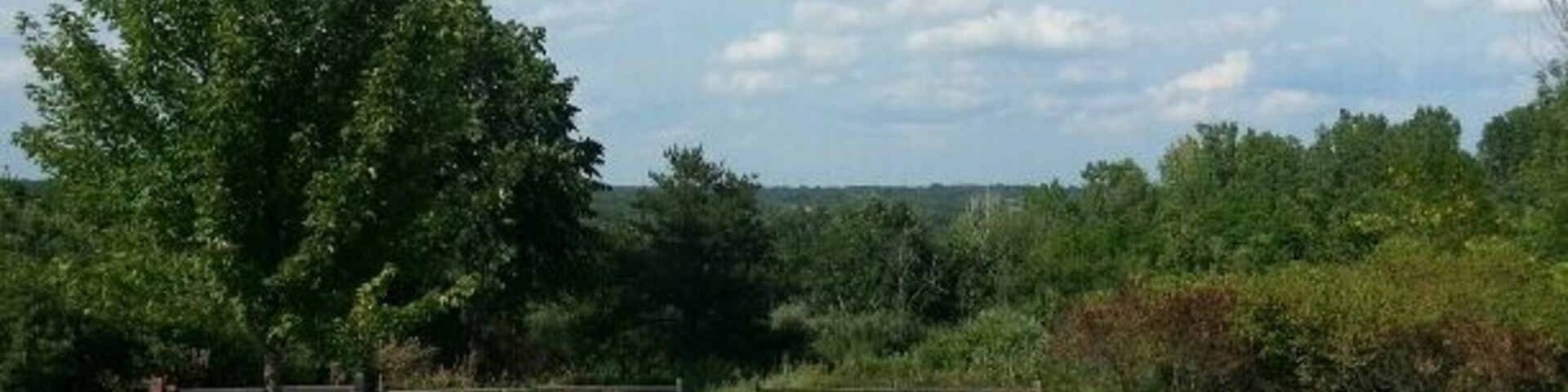 Trindle Park in Van Meter. Nice park, heavily wooded, two picnic shelters separated by a short drive, and a short gravel trail off of the second shelter.