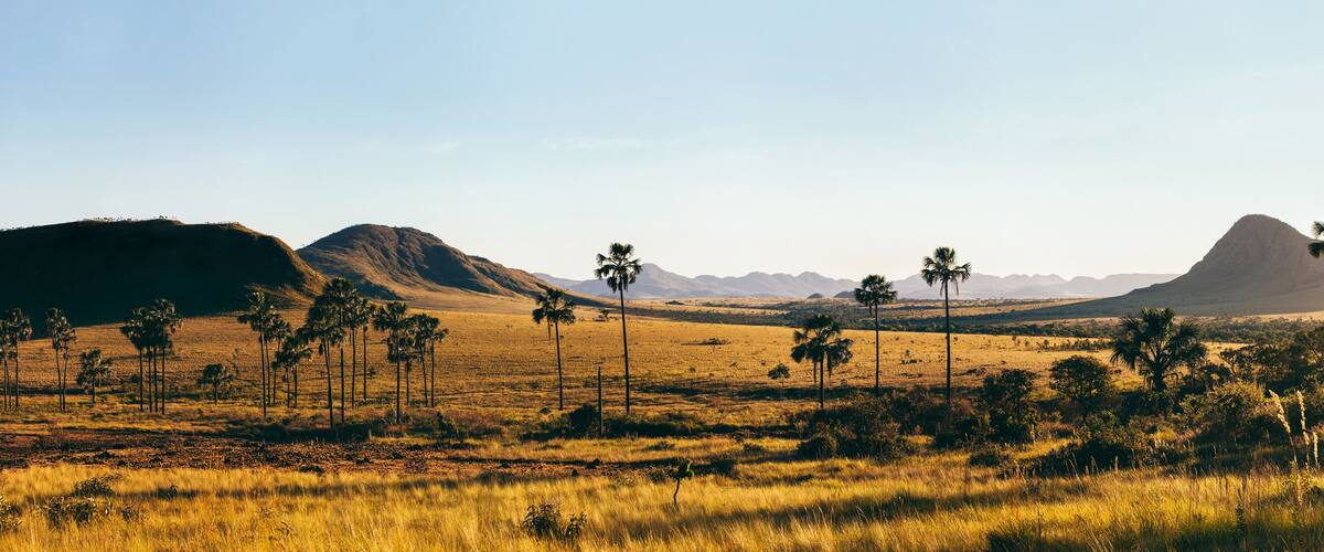 Sunrise Over Brazilian Alitplano National Park Landscape