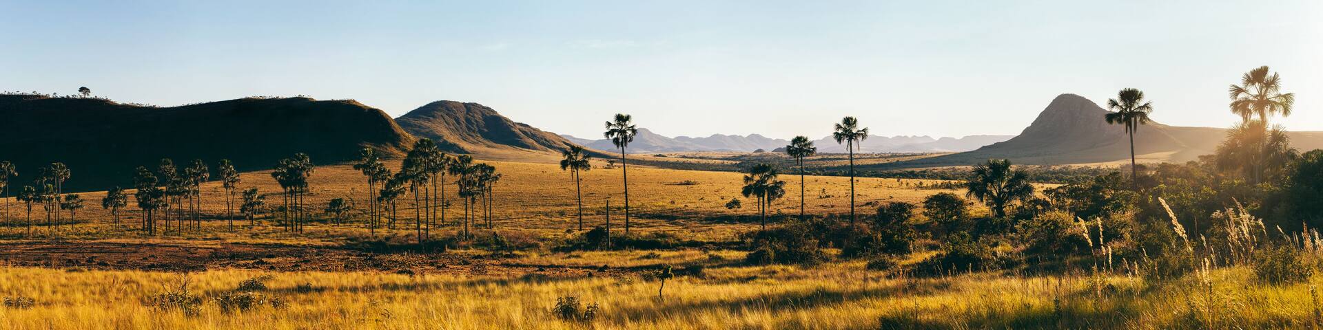 Sunrise Over Brazilian Alitplano National Park Landscape