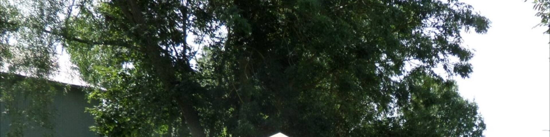 The monument to the Liverpool Pals.
https://en.m.wikipedia.org/wiki/Liverpool_Pals