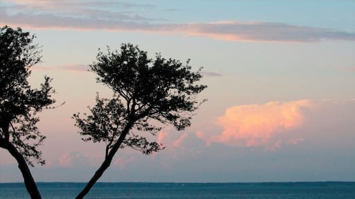 This tiny seaside community has some really views of the Atlantic ocean. The lobster was great too :)