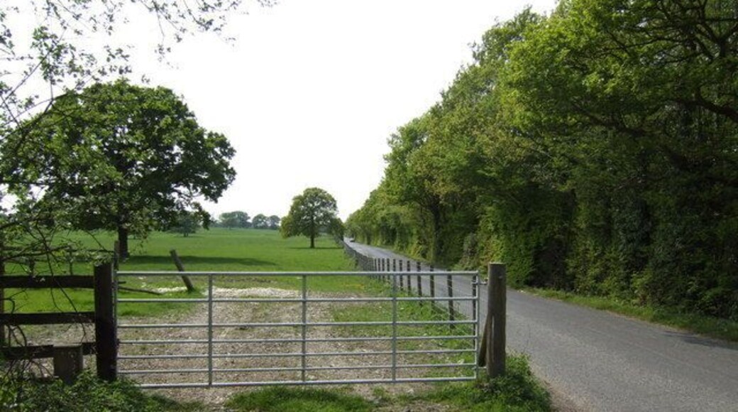 Courtenay Road The view south-west towards Dunkirk.