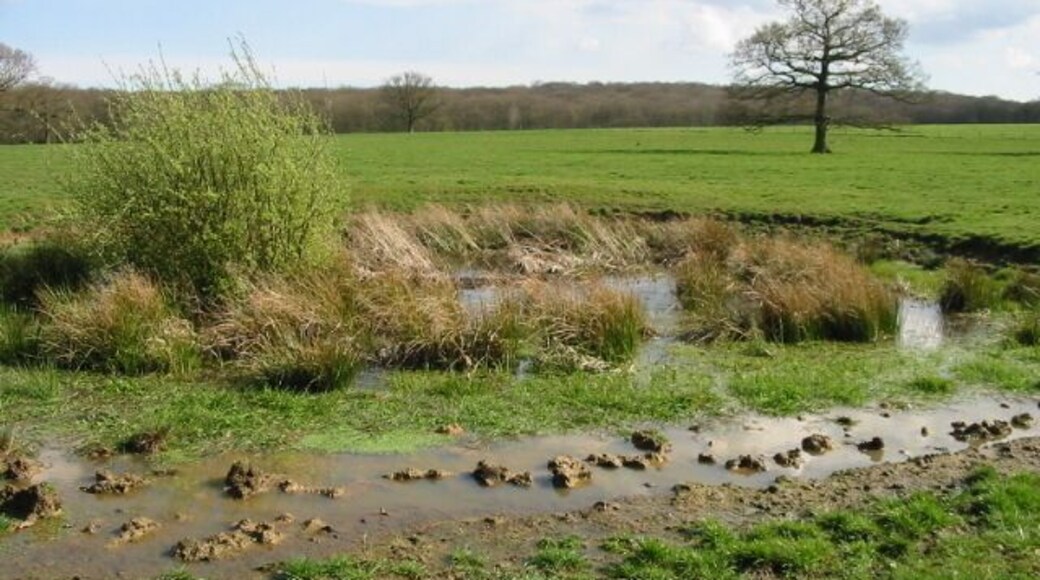 Small pond in field next to Courtenay Road There were two of these boggy areas in an essentially level field on the highest part of the surrounding area, possibly man made but this one looks almost as though the land has subsided a bit allowing it to hold rainwater.