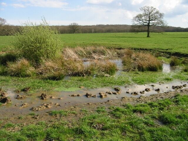 A muddy water crossing in a grassy field with a tree in the background.
